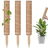 Este es en tutore para plantas 3 en 1: Afirma tus plantas para que crezcan erguidas, decora tu casa con un elemento hermoso y muy selvatic touch, cuida el medio ambiente con un producto hecho en base a reutilización de desechos orgánicos.