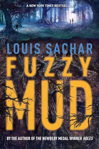 Fuzzy Mud view 2