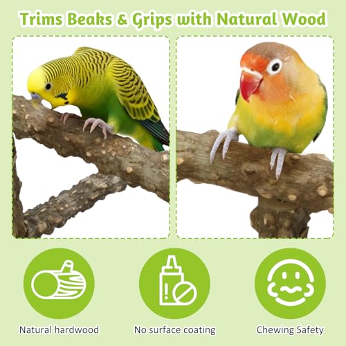 Image of BNOSDM Natural Wood Bird Playground for Training & Playing, Parrot Perch Stand Jungle Gym with Hanging Bridge & Detachable Tray Parakeet Cage Playstand for Budgie, Cockatiel, African Grey