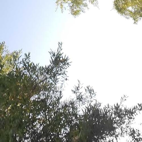 The Brussels Experiment after thoughts