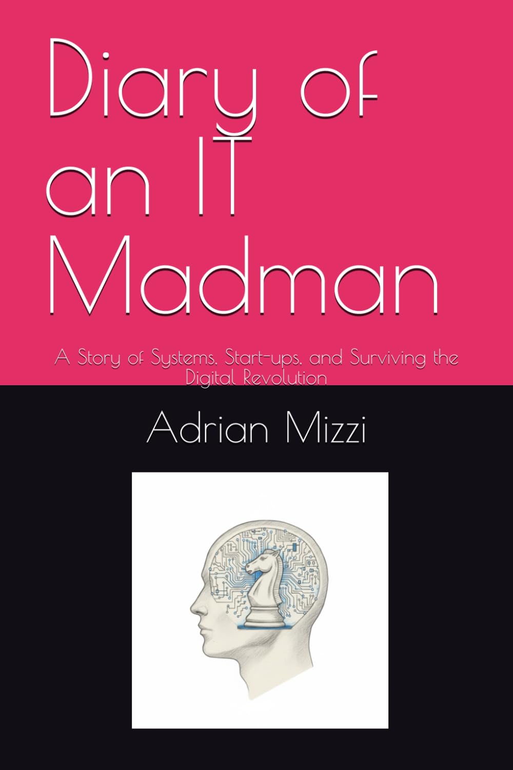 Diary of an IT Madman: A Story of Systems, Start-ups, and Surviving the Digital Revolution