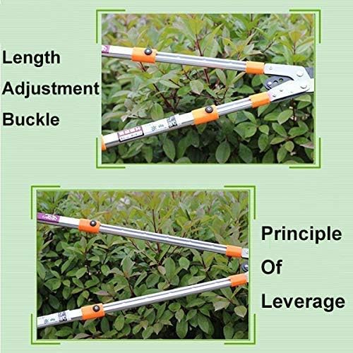 Telescopic Anvil Garden Tree Loppers - Heavy Duty Ratchet Lopper Extendable 66-101 cm for Pruning Tree Hedge Branch Every Family
