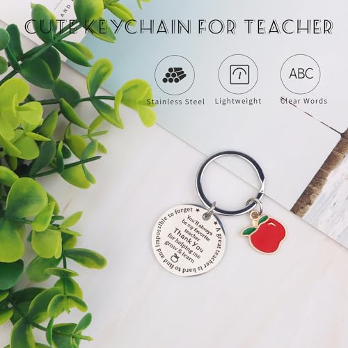 Teacher Appreciation Gifts, 8 PCS Teacher Christmas Gifts Bulk for Women Men Includes 20 oz Tumbler Straw Brush Tote Bag Socks Keychain Thanks Card Gift Box, Perfect Teacher Gifts Set from Student - Image 6