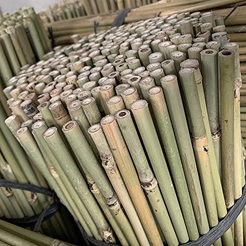 2FT-3FT-4FT-5FT-6FT Bamboo Garden Canes/Stake/Pole Garden Plant Flower Support Sticks Outdoor/Indoor Natural Strong Plants Support (15, 5ft - 150cm (12-14mm))