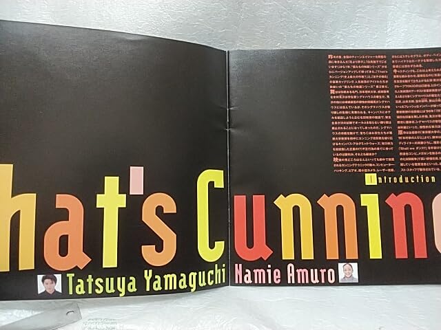 安室奈美恵PLAYDVD96年貴重なパンフレット 安室奈美恵PLAYDVD96年貴重なパンフレット 安室奈美恵PLAYDVD96