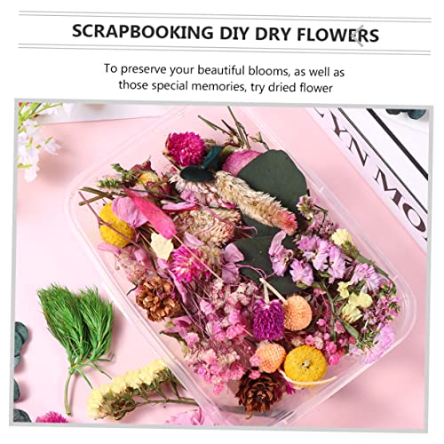 Materiales de Flores Secas Naturales Unomor para Manualidades miniatura 7