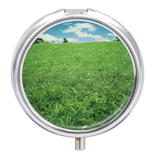 Pill Box Portable Green Lawn Pill Case Cute Pill Organizer for Vitamins Supplements