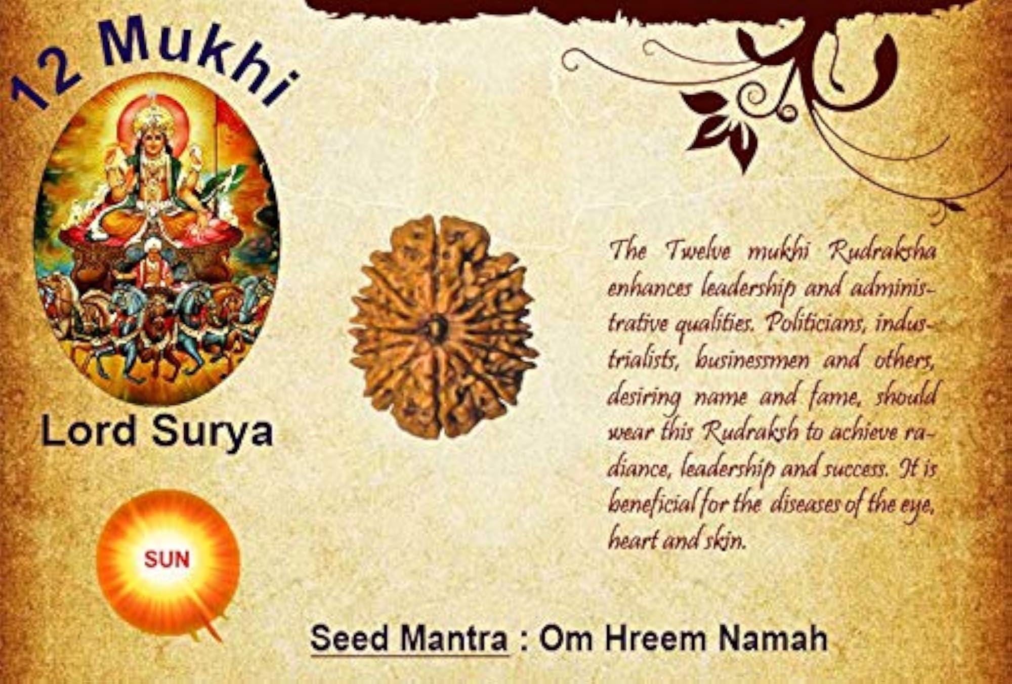 Pure 12 Mukhi Rudraksha, Lab Certified with Silver Capping