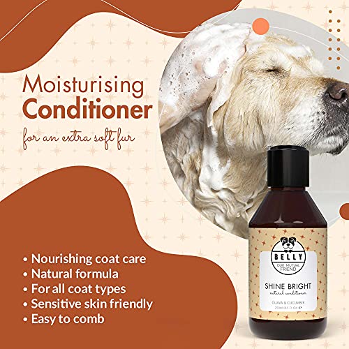 Belly - Veganer Hundeshampoo & Conditioner für Hunde - 250ml - Fellpflege, Hunde Conditioner gegen Geruch, Hundeshampoo für Langhaarhunde & Welpen