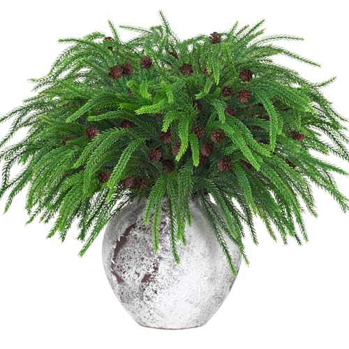 Dolicer 6 Pcs Norfolk Stems