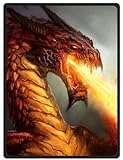 ferocity Dragon Super Soft Plush Queen Size Blanket 58
