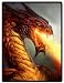 ferocity Dragon Super Soft Plush Queen Size Blanket 58" x 80" (Large)
