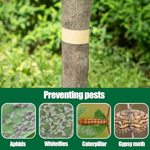 image for DECOHS 165 Ft x 2 Inch Tree Insect Barrier Tape, Cicada Tree Wrap Prot
