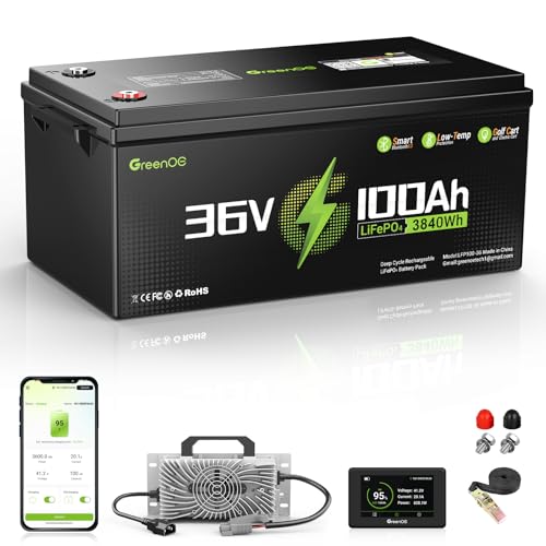 36V 100Ah Lithium Golf Cart Battery, 36V LiFePO4 Battery, Built-in