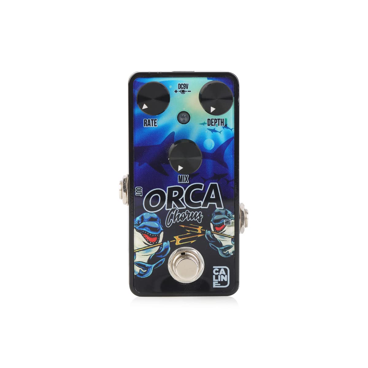 Caline G-003 - Orca Chorus