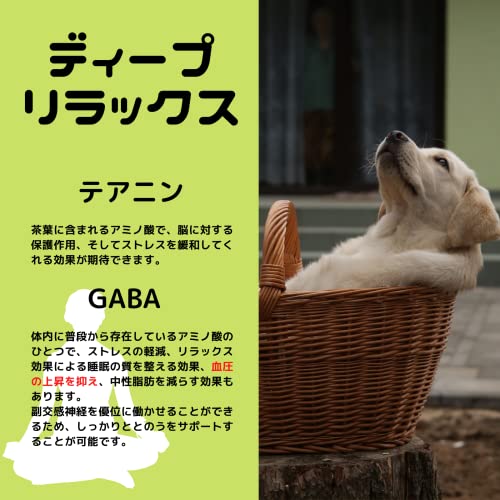 トトノイサプリ サウナーのためのサウナ専用サプリメント 発汗とディープリラックで整う。調う。ととのうをさらにサポート 5枚目