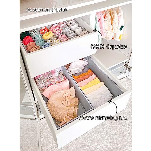 SIMPLE JOY® PAX50 FileFolding Box für IKEA Pax Kleiderschrank; DAS ORIGINAL; passgenau; Stabiler Boden; Schubladen Ordnungssystem, 2er Set