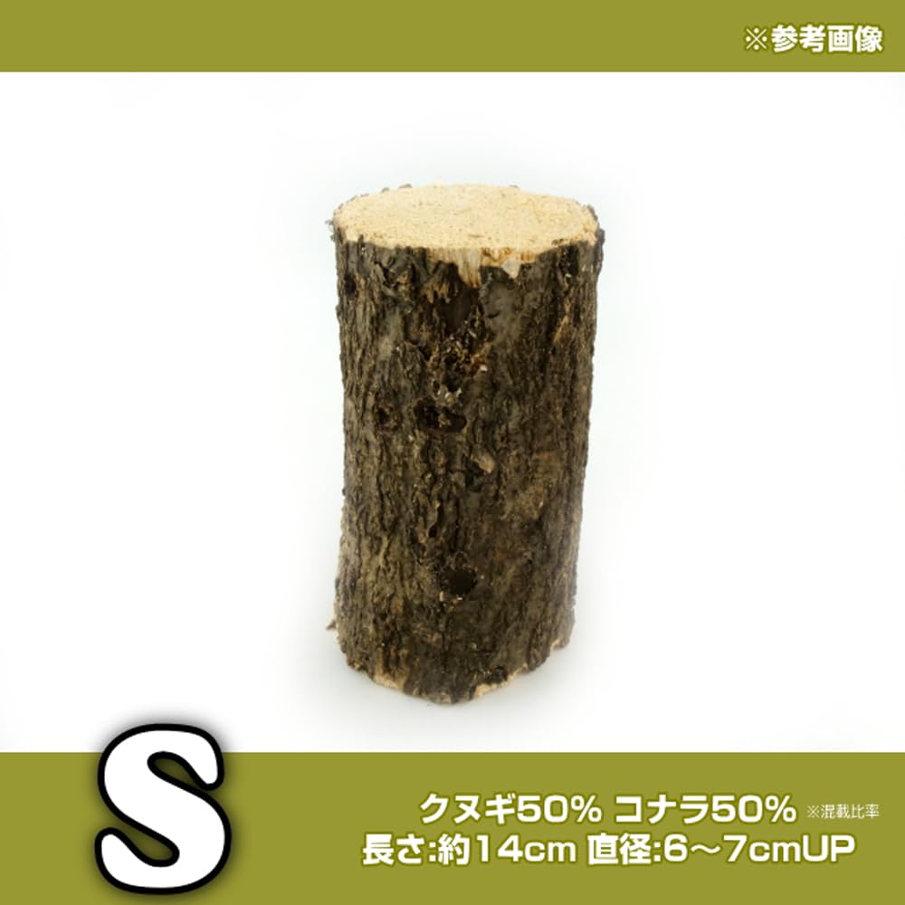 Amazon | 産卵木 Sサイズ 28～30本入｜クワガタ 繁殖用 ホダ木 クヌギ 