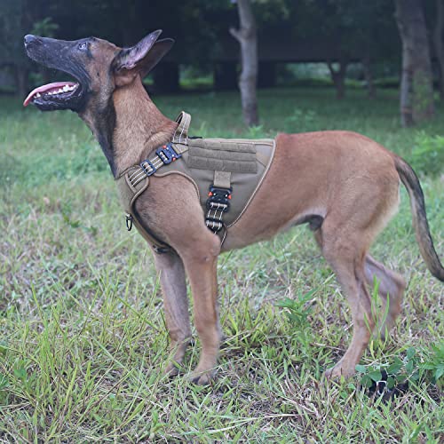 The 10 Best ICEFANG Dog Harnesses of 2024 [Verified] Cherry Picks