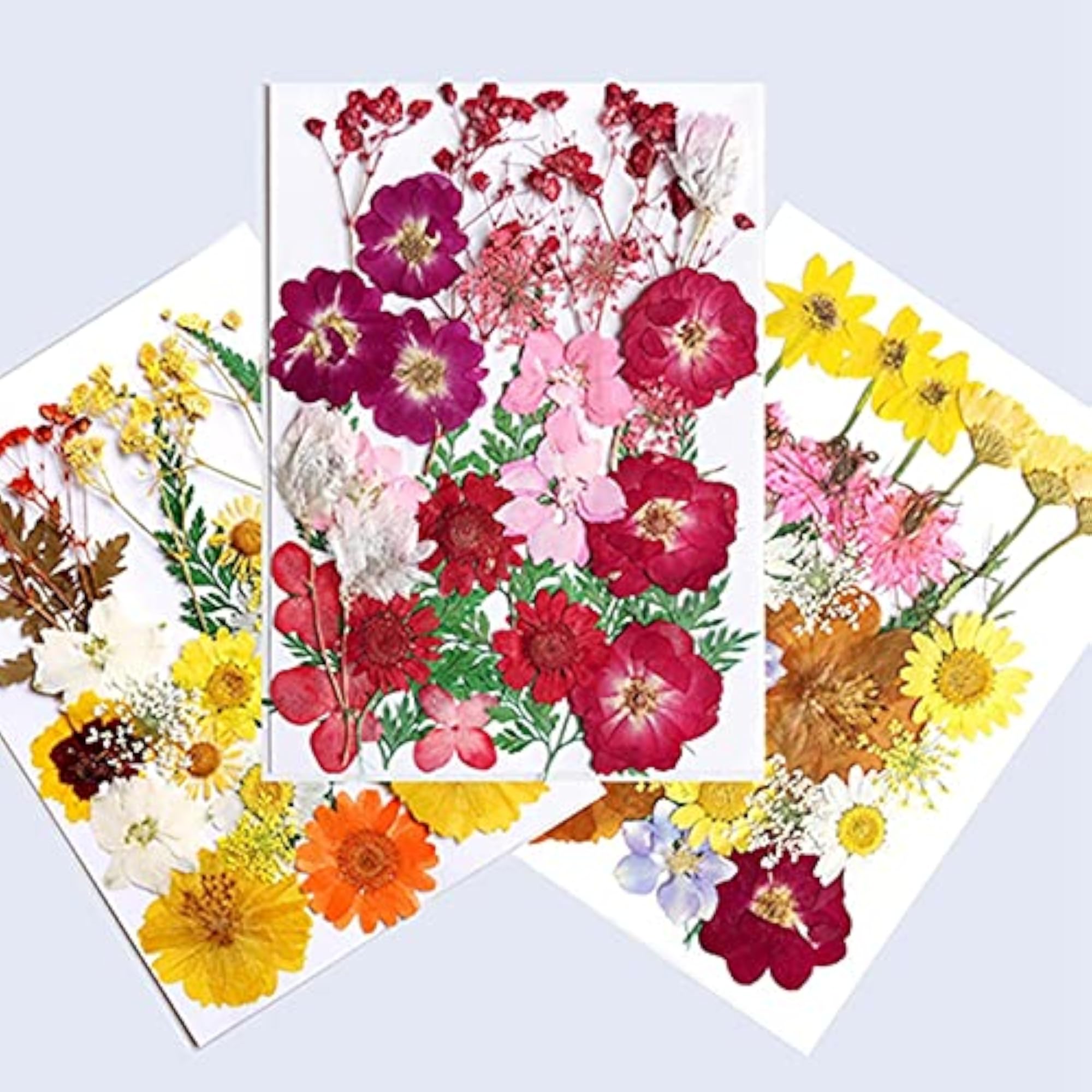 Colorful Assorted Handmade Nature Dry Flower Pressed Flower Bookmark