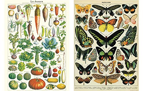 Cavallini Wrap - Le Jardin and Butterflies - Set of 2 Posters - 20 x 28 inches