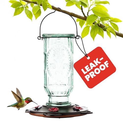 More Birds Vintage Hummingbird Feeder Antique Glass Bottle 5 Feeding Ports 20-Ounce Nectar Capacity