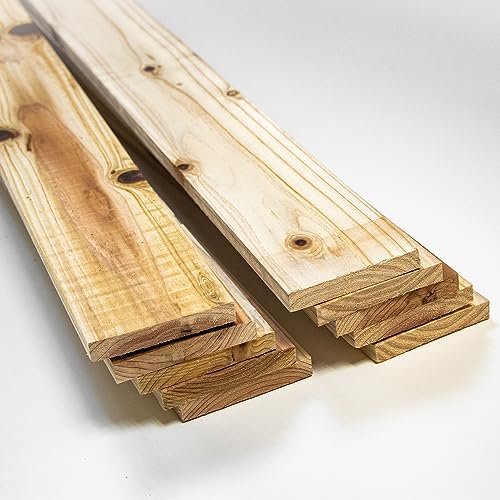 ラバーと木板 51mQbh3lgTL.jpg