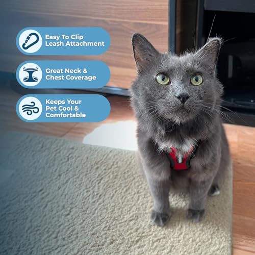 Image of Voyager Escape-Proof Step-in Lock Cat Harness & 5ft Neoprene-Handle Leash Set All-Weather Mesh with Reflective Stitching for Small to Large Cats by Best Pet Supplies, Red /Black Trim, XS