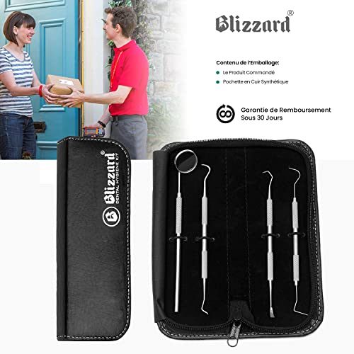 Dental Tools By Blizzard - Plaque Tartar Remover For Teeth - Professional Dental Hygiene Cleaning Kit 4-Pcs, German Stainless Steel Oral Care Set With Dental Pick, Mouth Mirror, Travel Case #TOP5
