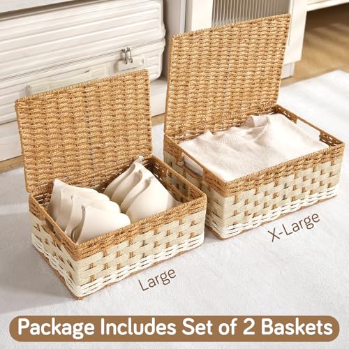 Image of HOKIPO Baskets for Clothes with Lid Set of 2 (Large & X-Large) | Foldable Cloth Storage Basket for Wardrobe | Storage Box with Metal Frame & Handles | Closet Organizer Basket for Clothes (AR-6164)