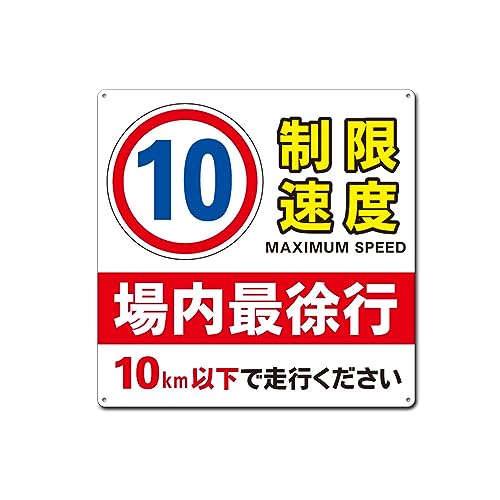 51mQeIItWIL.jpg