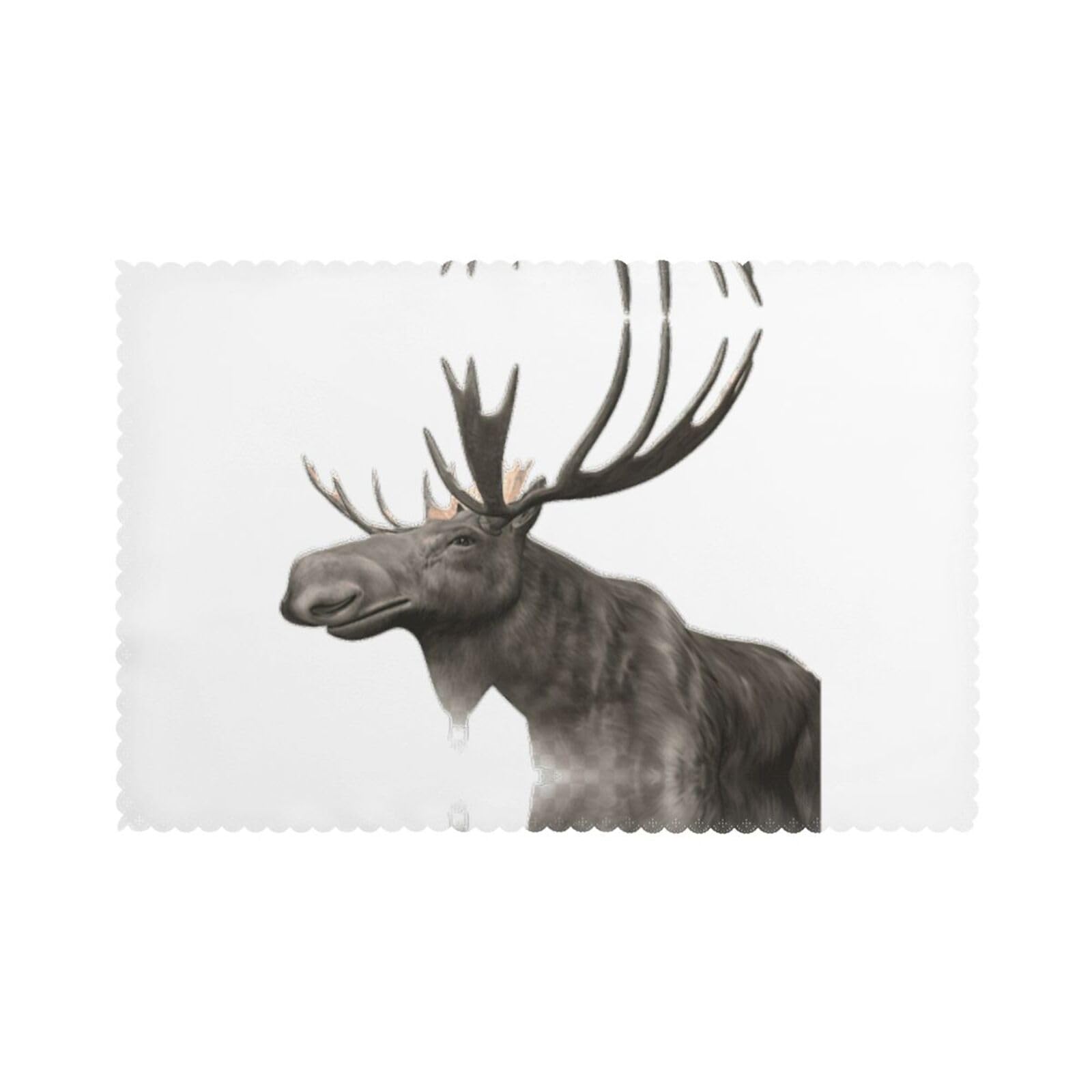 Moose Print Placemats Set Of 6, 12x18 Inch Polyester Washable Heat Resistant Kitchen Dining Table Mats