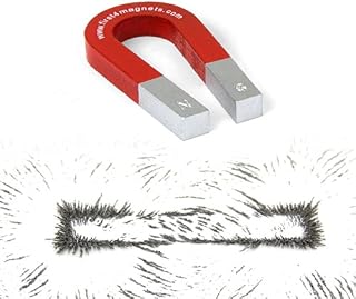 Traditional Alnico Horseshoe Magnet & Iron Powder Set for Science, Education, Experiments, Students, and Teachers