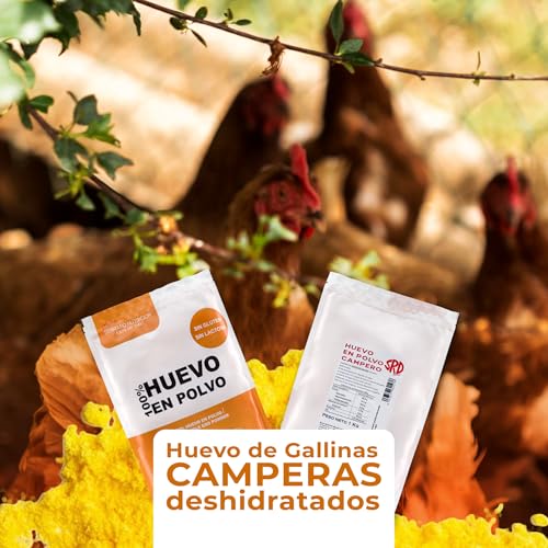 Eipulver aus Freilandeiern (1 kg) | Pasteurisiertes Vollei Pulver | Ohne Zusatzstoffe | Glutenfrei & laktosefrei | Vakuumverpackung im Zip-Beutel