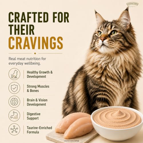 Image of Grain Zero Adult Cat Wet Mousse 80g Pack of 5, (400g) | Chicken | Rich in Protein | Promotes Hydration & Easy to Digest | No Artificial Flavours | Packed with Essential Vitamins & Antioxidants