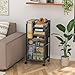 Feyejade 6-Tier Rolling File Cart with 2 Drawers, File Cabinet Organizer for Hanging File Folders, Letter-Size File Storage with Wheels, Multi-Layer Mobile Filing Cabinet for Office and Home