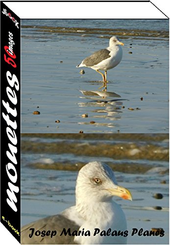 Mouettes (50 images) Francais PDF