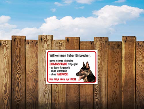 AdriLeo Schild - Vorsicht Deutscher Schäferhund - Willkommen Lieber Einbrecher - (20x30cm) / Achtung Hund Wachhund robust langlebig UV-beständig wetterfestes Warnschild