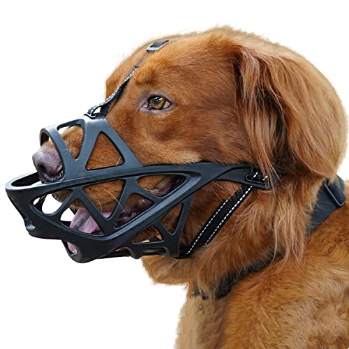 Top 10 Best Muzzle For Golden Retriever Reviews & Buying Guide Katynel