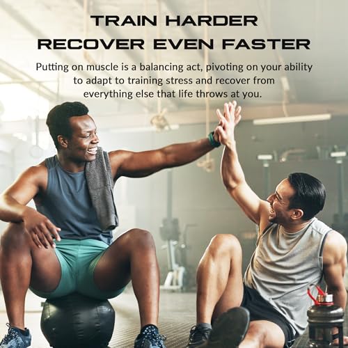 Image of Granite Essential Amino Acids Powder, Green Apple Flavor, with 10g EAAs and 7g BCAAs, Supports Muscle Recovery & Growth, Soy-Free, Gluten-Free (30 Servings)