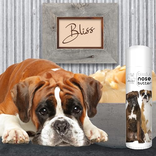 Image of The Blissful Dog Boxer Duo Nose Butter for Dry, Cracked Skin, Lick-Safe Dog Nose Balm with Moisturizing Shea Butter, Almond, Olive, and Essential Oils, Pet Supplies, Uncented, 0.50 oz.