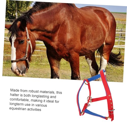 Cabestro ajustable y resistente con cabezada para de entrenamiento vibrante 8