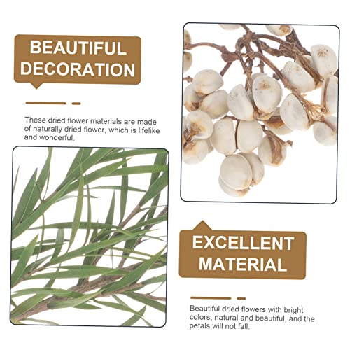 Kit de flores secas para manualidades DIY ABOOFAN miniatura 3