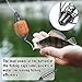mekueeex 12 Pcs Spring Fishing Feeder Carp Bait of Pumpkin Bream Tackle Cage Bait Cage Holder Fishing Tackle Equipment Accessories