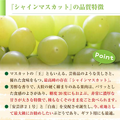 食品 山梨県産ぶどう 美和姫 8房入り箱込み約5.5kg