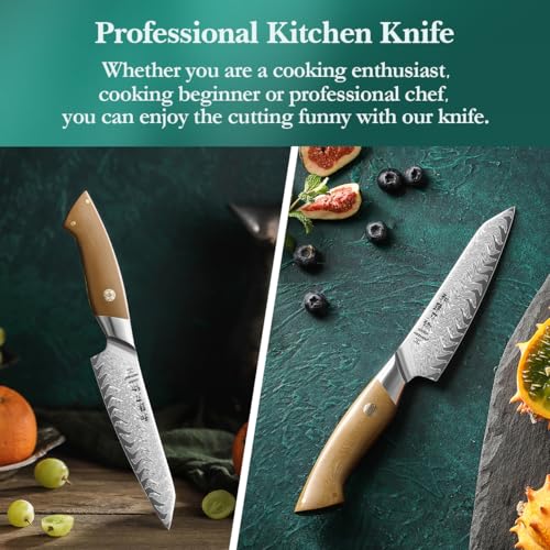 HEZHEN Kitchen Utility Knife, 5.5 Inches, 67 Layers Damascus Steel Small Chef Knife, Multifucational Paring Knife for Chefs and Home Cooking, Ultra-Sharp Blade with Linen Micarta Handle, Gift Packing - Image 9
