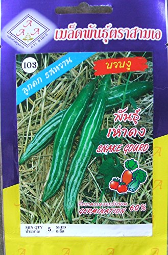 1 PKT Snake Gourd 5 Seeds