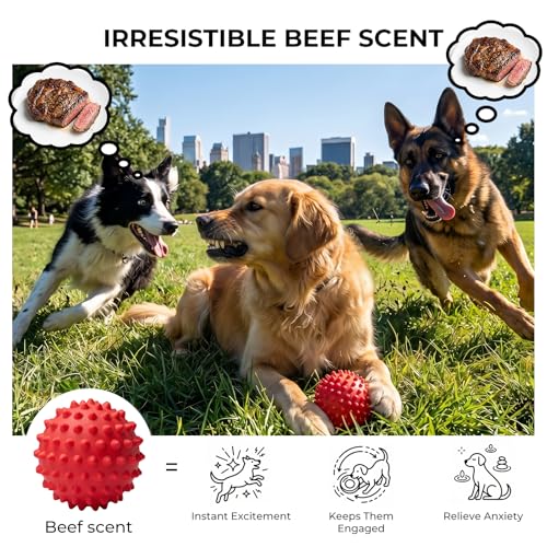 Interactive Squeak Dog Ball DROPS TO - image 3