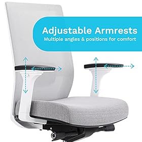 EasyErgo Apollo Ergonomic Chair - Ergo Mesh Design for Computer Desk Work - Comfortable Office Chair with Detachable… 51mR6RpurcL. SS280