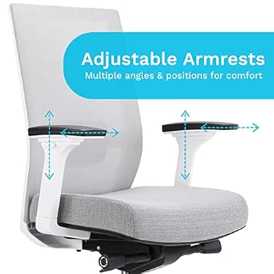 EasyErgo Apollo Ergonomic Chair - Ergo Mesh Design for Computer Desk Work - Comfortable Office Chair with Detachable… 51mR6RpurcL. SS400